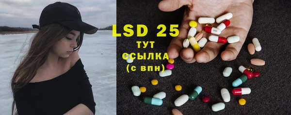 ECSTASY Богородицк