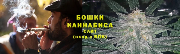 ECSTASY Богородицк